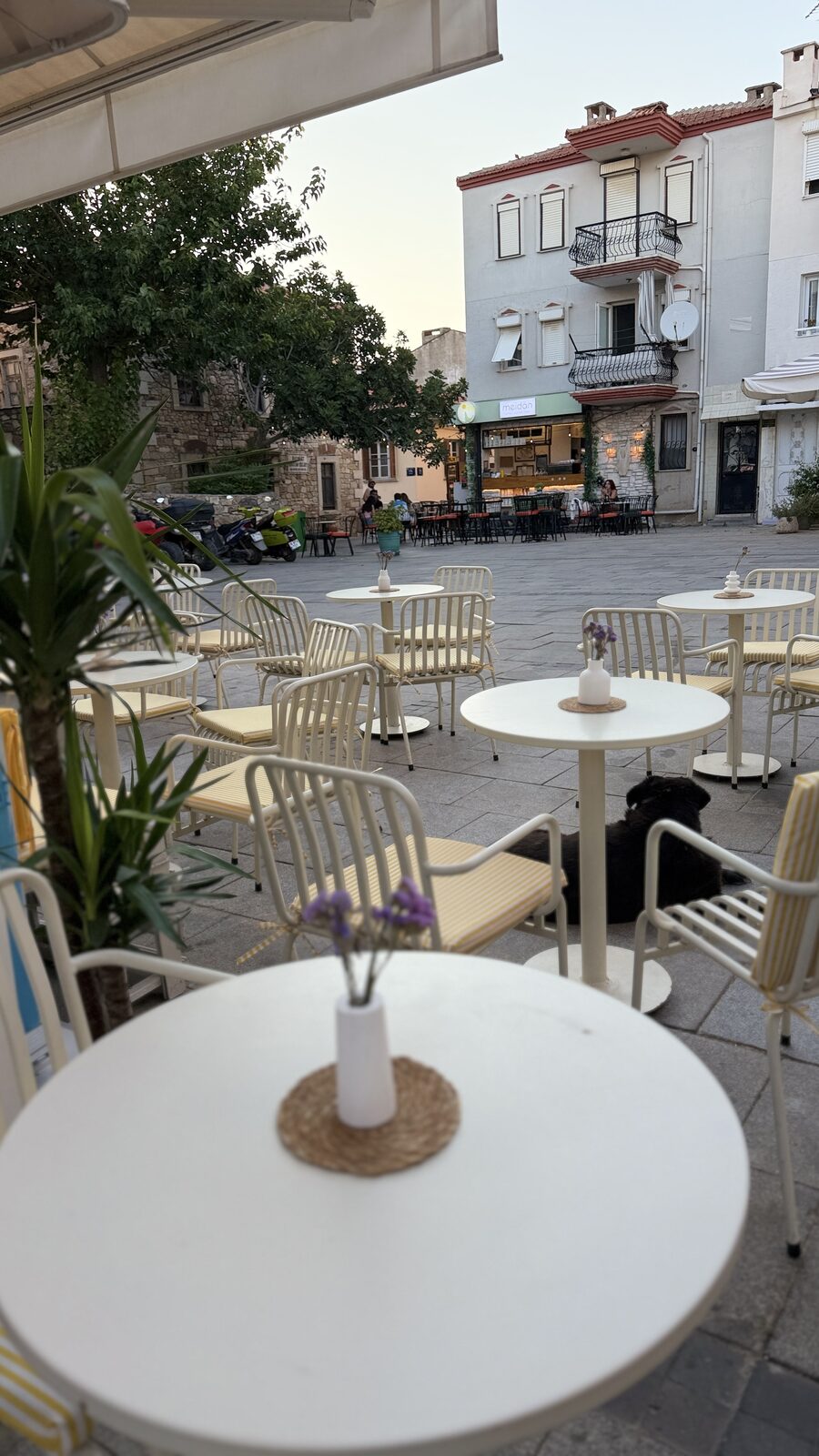 Foça Meydanı